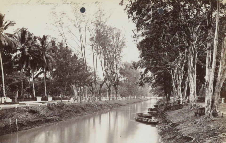 Collectie NMvWereldculturen, RV-A440-ee-35X, Foto, 'Tanah Abang te Batavia 1875', fotograaf Woodbury & Page, 1875