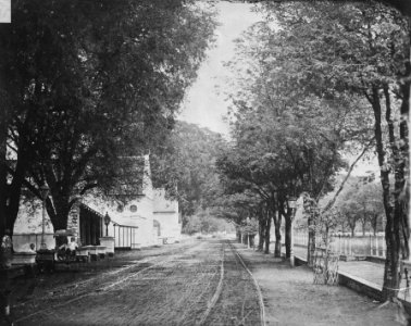 Collectie NMvWereldculturen, TM-60036747, Foto, 'Weg langs de Molenvliet in Rijswijk, Batavia', fotograaf Woodbury & Page, 1857-1900