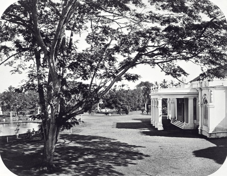 Collectie NMvWereldculturen, TM-60039849, Foto, 'Planten - en Dierentuin te Batavia', fotograaf Woodbury & Page, 1870 - 1890
