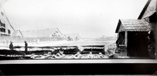 Collectie NMvWereldculturen, TM-60059853, Foto, 'Diorama van een tabaksplantage op de Indische Tentoonstelling te Arnhem (ITA)', fotograaf Foto-Bureau Gazendam, 06-1928