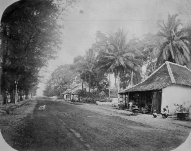 Collectie NMvWereldculturen, TM-60025074, Foto, 'Warung, Tanah Abang, Batavia', fotograaf onbekend, 1860-1900