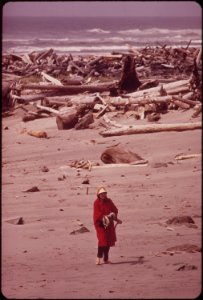 Collecting-driftwood-in-the-jetty-near-the-mouth-of-the-columbia-river-051973 4272322800 o