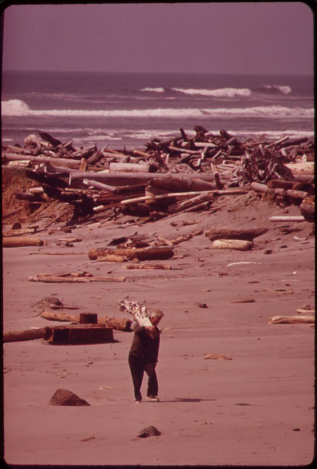 Collecting-driftwood-near-the-mouth-of-the-columbia-river-pacific-ocean-in-background-051973 4272320752 o