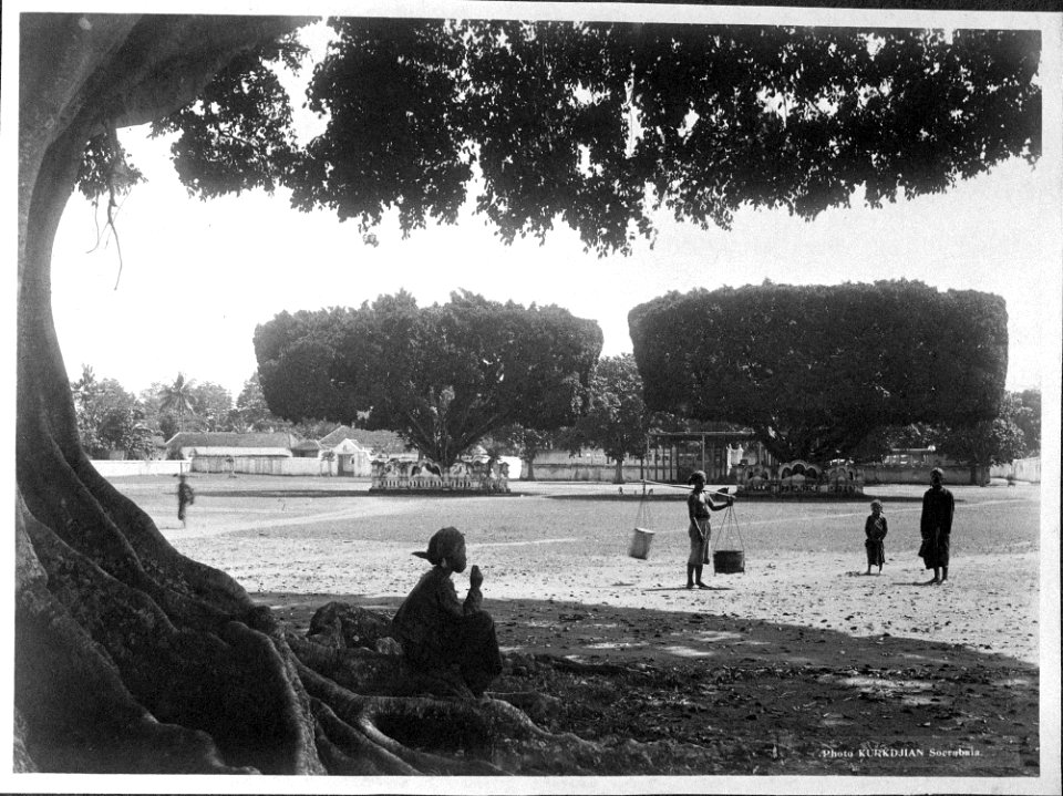 Collectie NMvWereldculturen, TM-60041582, Foto, 'Waringins op de alun-alun in Yogyakarta', fotograaf N.V. Photografisch Atelier Kurkdjian, 1890-1920