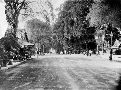 Collectie NMvWereldculturen, TM-60042971, Foto, 'De Residentielaan in Yogyakarta', fotograaf K. (Kassian) Céphas, 07-1901