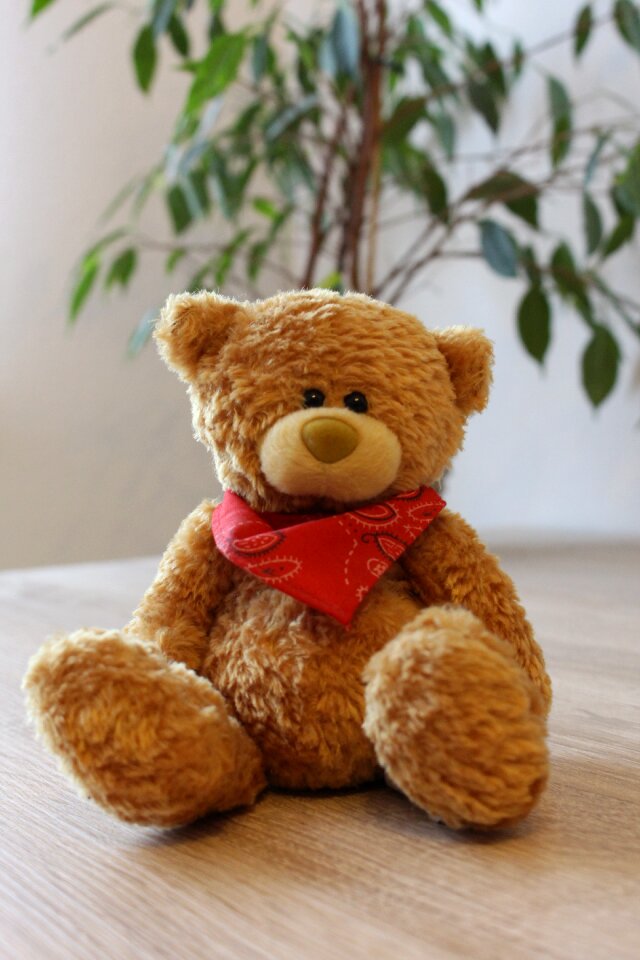 Toys stuffed animal cute