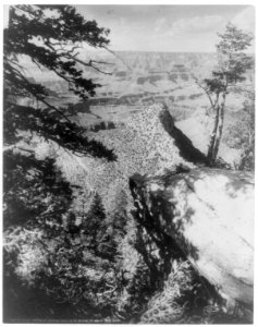Colo. - Grand Canyon - Views- from Near Bridge at Grand View Hotel, 1906 LCCN2006690029