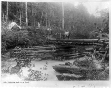 Collecting toll, Dyea Trail LCCN2004672220