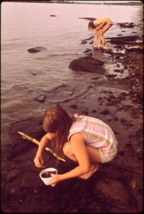 Collecting-rocks-and-shells-along-the-banks-of-the-ohio-river-june-1972 7651235196 o