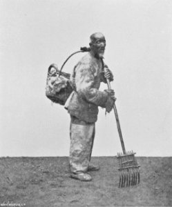 COLLECTOR OF PRINTED SCRAPS