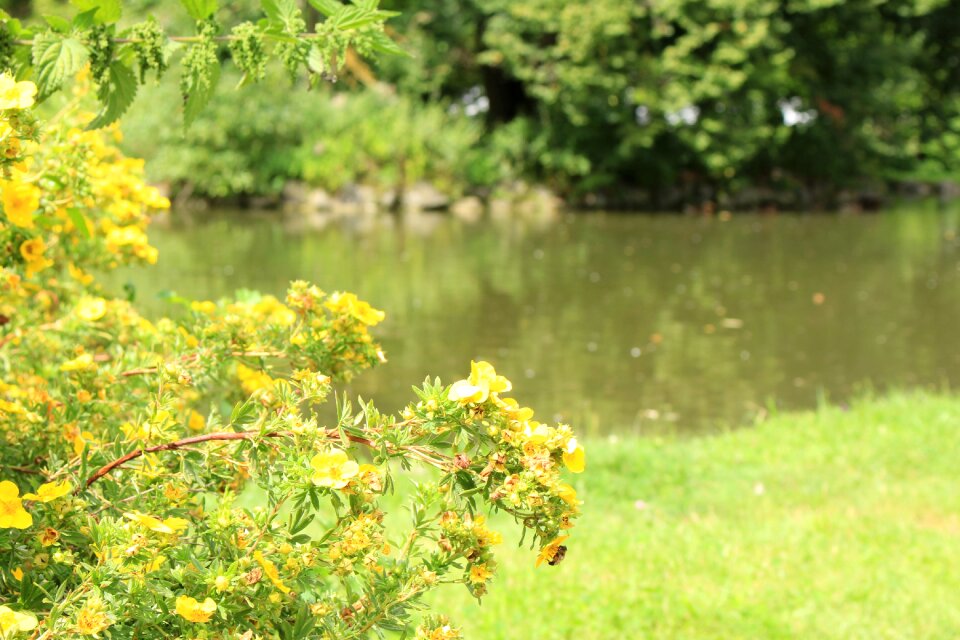 Bank summer relax