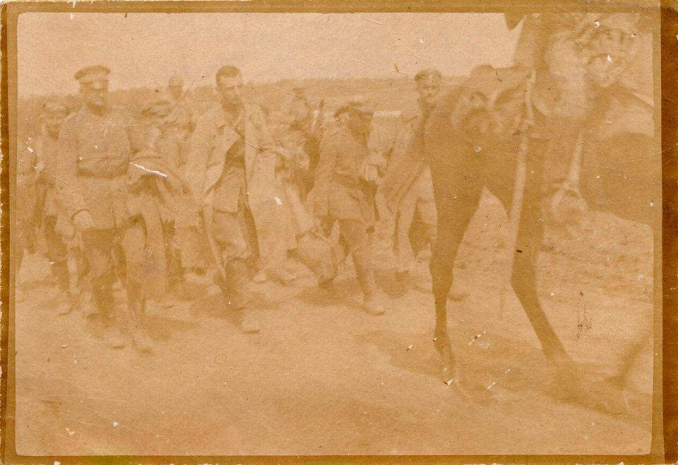 Colonel et officiers boches faits prisonniers dans le tunnel du Mort-Homme - Fonds Berthelé - 49Fi1833