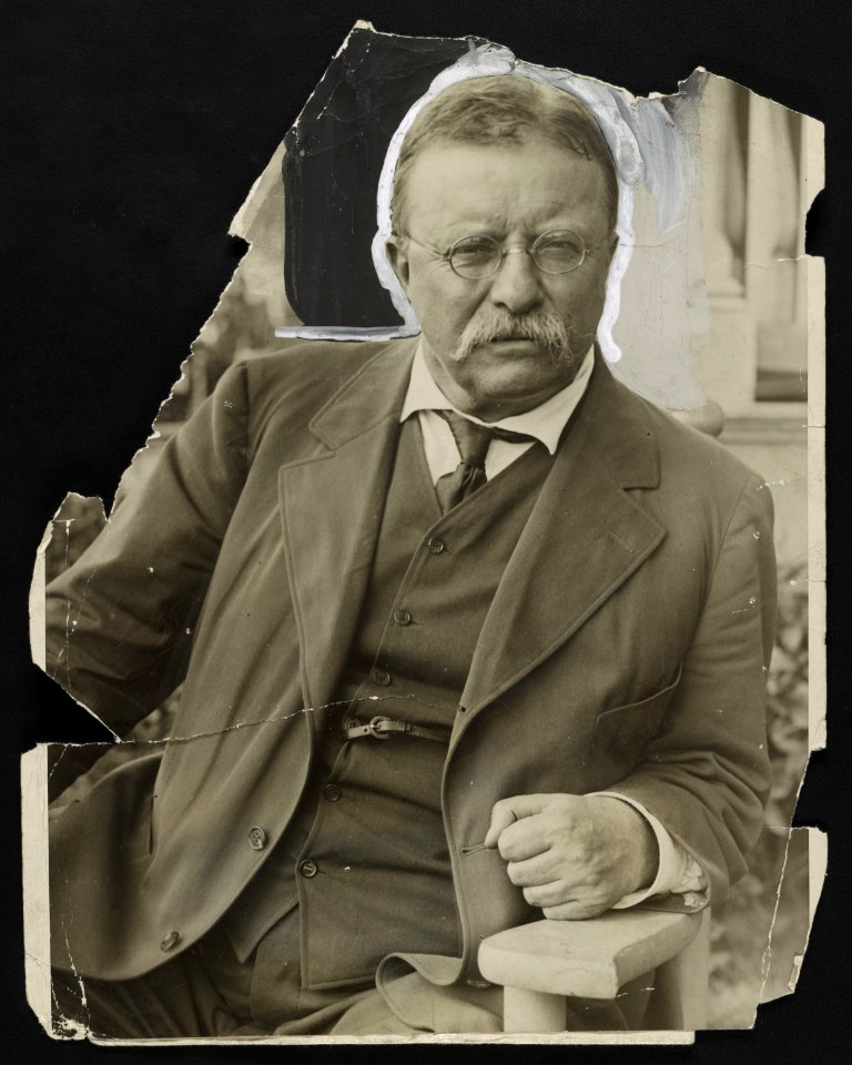 Colonel Theodore Roosevelt LCCN2013650902