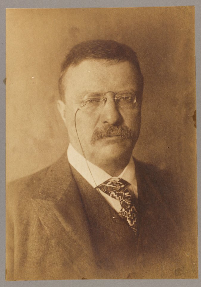 Colonel Theodore Roosevelt LCCN2013651094