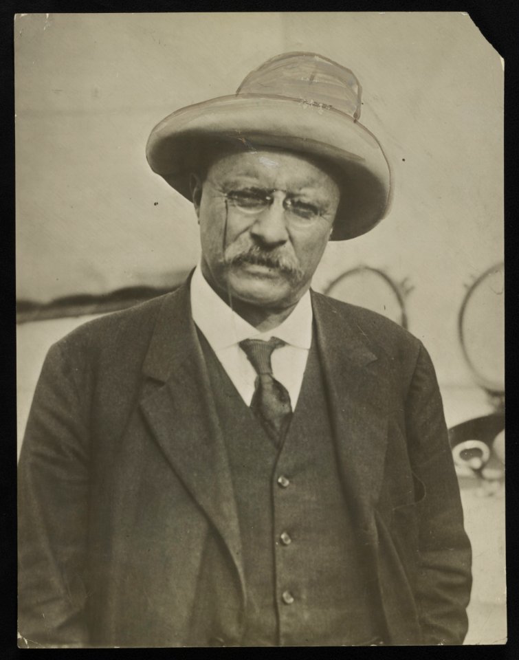 Colonel Theodore Roosevelt LCCN2013650906