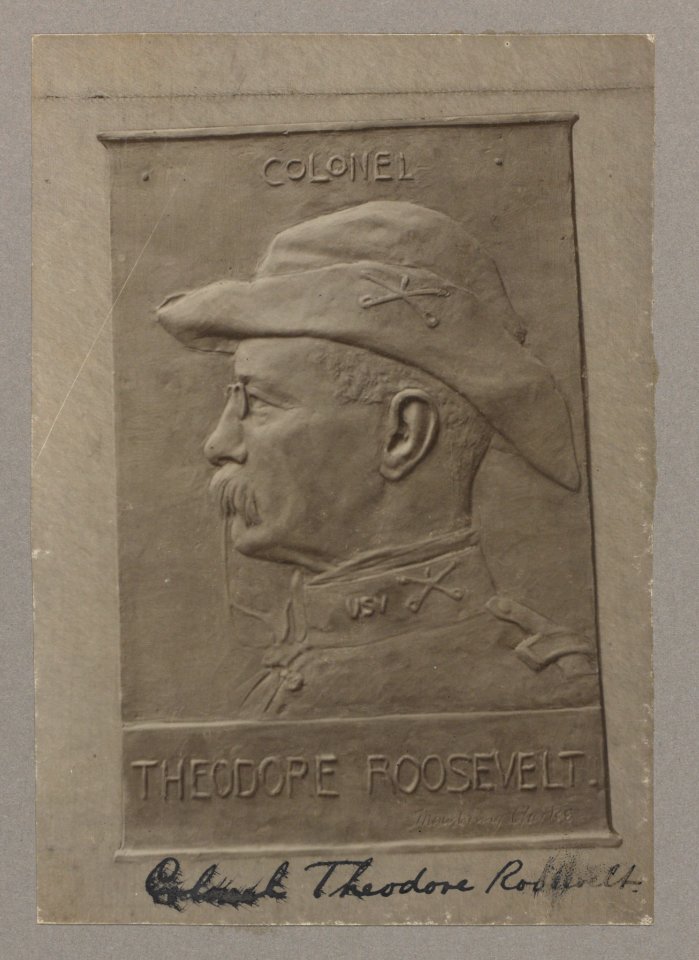 Colonel Theodore Roosevelt LCCN2013651096