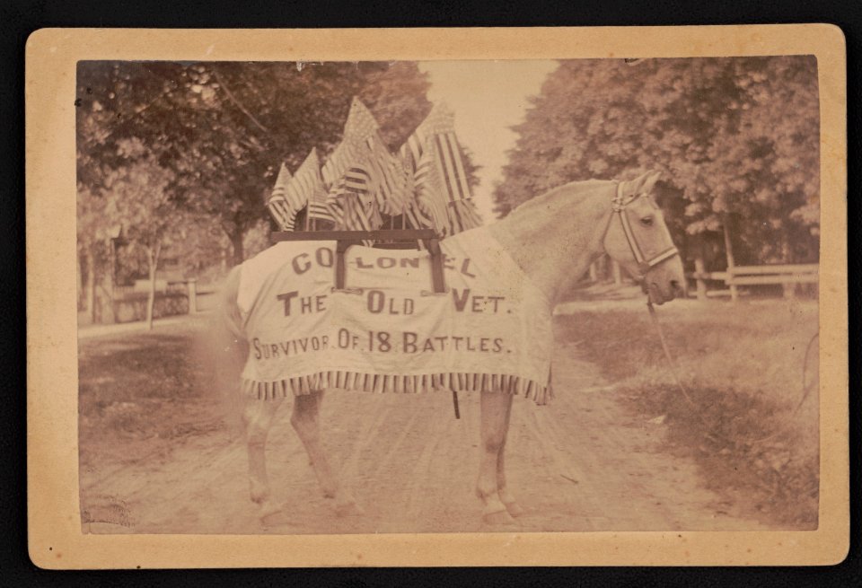 Colonel, the old vet, survivor of 18 battles - J.A. Rose, photographer, Hillsdale, Mich. LCCN2015650836