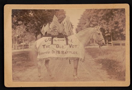 Colonel, the old vet, survivor of 18 battles - J.A. Rose, photographer, Hillsdale, Mich. LCCN2015650836