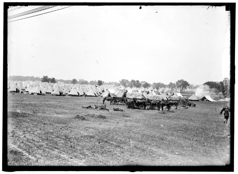 COLONIAL RIFLES. REUNION OF G.A.R. AND CONFEDERATE VETERANS WHO HAD FOUGHT AT GETTYSBURG, ON THE BATTLEFIELD LCCN2016864706