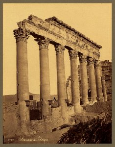 Colonnade à Palmyre - Bonfils. LCCN2004670490