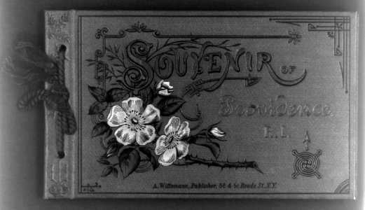 Color cover of album Souvenir of Providence, R.I.; illus. with flowers on thorny branch LCCN2002709516