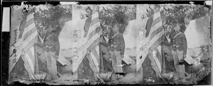 Colors of 23rd Infantry, N.Y - NARA - 529517