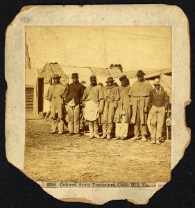 Colored army teamsters, Cobb Hill, Virginia LCCN2010651606