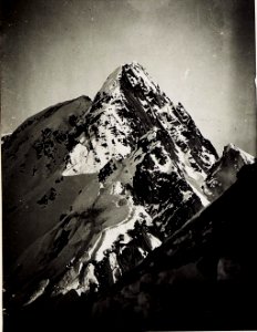 Coltorondospitze. (BildID 15574724)