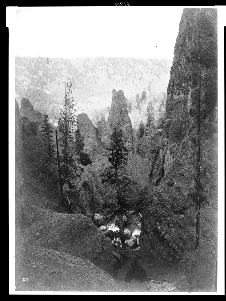 Columns of volcanic breccia near Tower Falls, Yellowstone National Park, Wyoming LCCN95514247