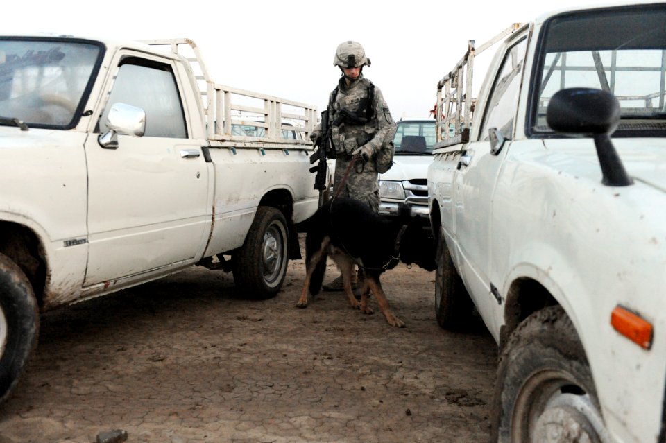 Combined Forces Perform Cordon and Search DVIDS243410
