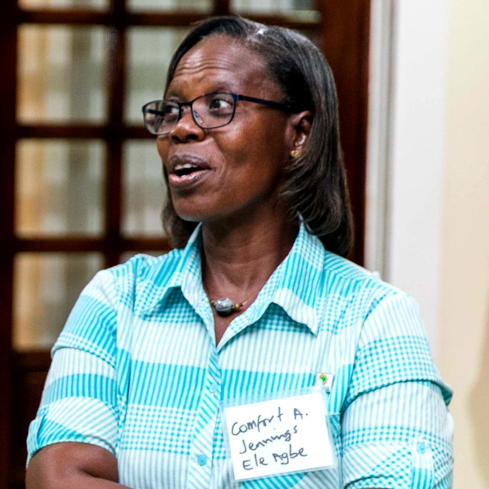 Comfort A. Jennings Ele Agbe - State Department Global Women’s Mentoring Partnership Alumnae Reception - 37747714154 (cropped)