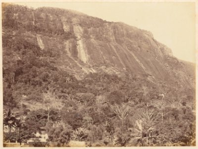 Comissao-Geologica-do-Imperio-Album1-Foto008-Getty (cropped)