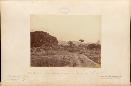 Comissao-Geologica-do-Imperio-Album1-Foto002-Getty
