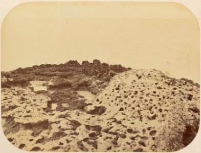 Comissao-Geologica-do-Imperio-Album1-Foto020-Getty (cropped)