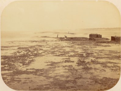 Comissao-Geologica-do-Imperio-Album1-Foto022-Getty (cropped)