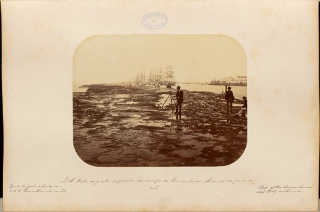 Comissao-Geologica-do-Imperio-Album1-Foto016-Getty