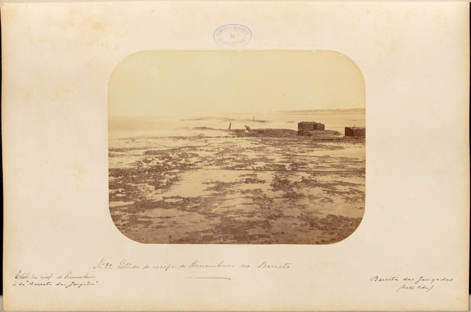 Comissao-Geologica-do-Imperio-Album1-Foto022-Getty