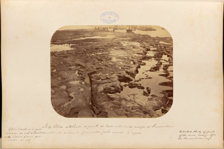 Comissao-Geologica-do-Imperio-Album1-Foto019-Getty