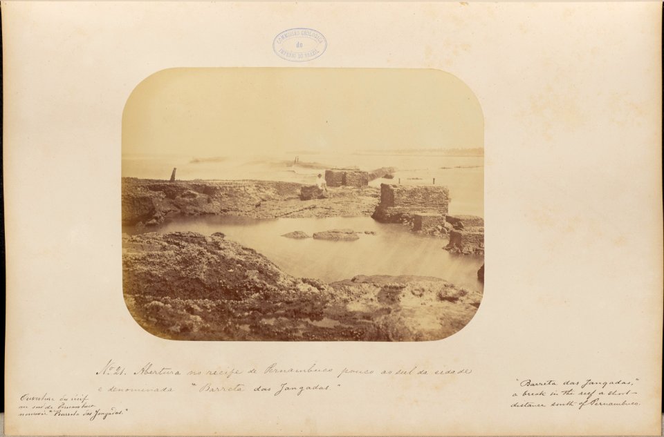Comissao-Geologica-do-Imperio-Album1-Foto021-Getty