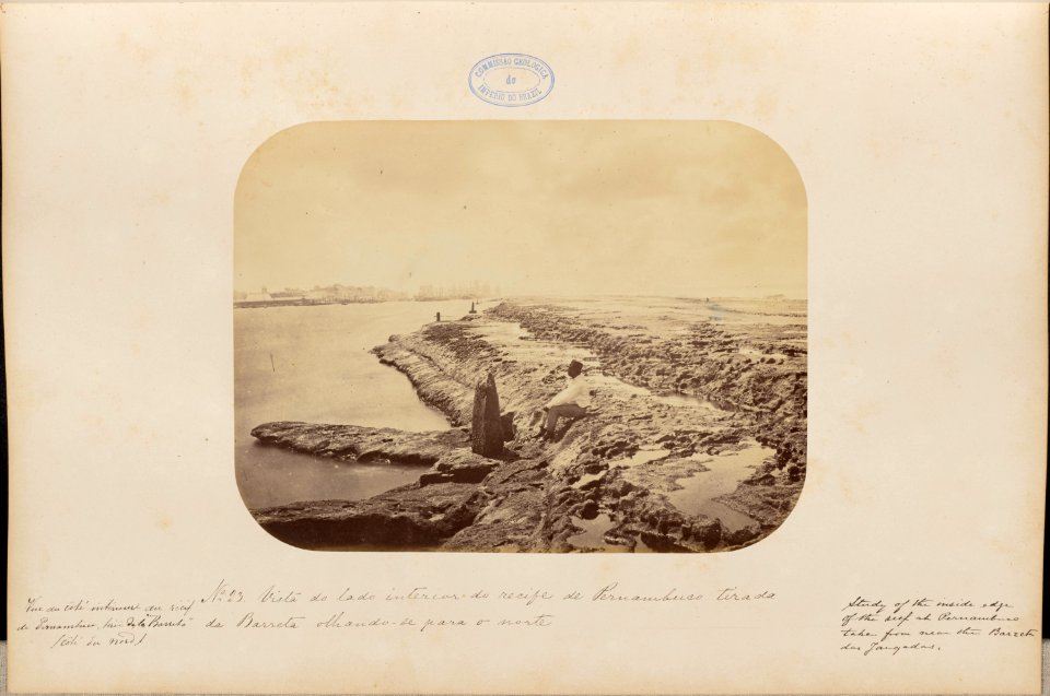 Comissao-Geologica-do-Imperio-Album1-Foto023-Getty
