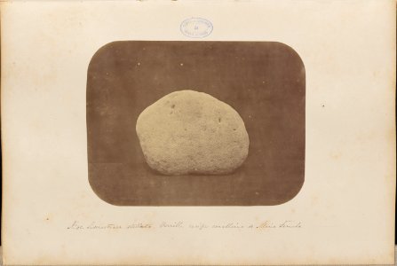 Comissao-Geologica-do-Imperio-Album1-Foto040-Getty