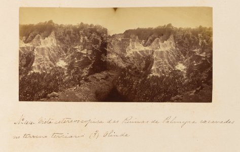 Comissao-Geologica-do-Imperio-Album1-Foto044-Getty