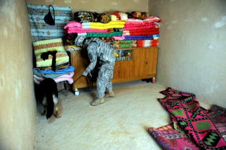 Combined Forces Perform Cordon and Search DVIDS243408