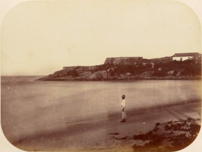 Comissao-Geologica-do-Imperio-Album1-Foto080-Getty (cropped)