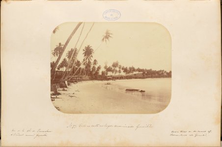 Comissao-Geologica-do-Imperio-Album1-Foto077-Getty