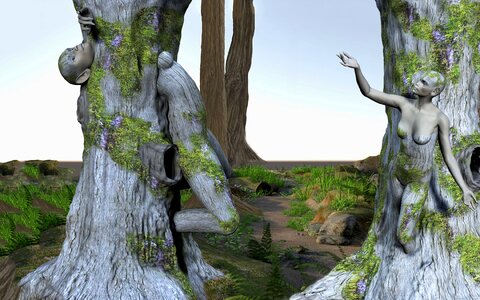 Mysterious magic forest magic