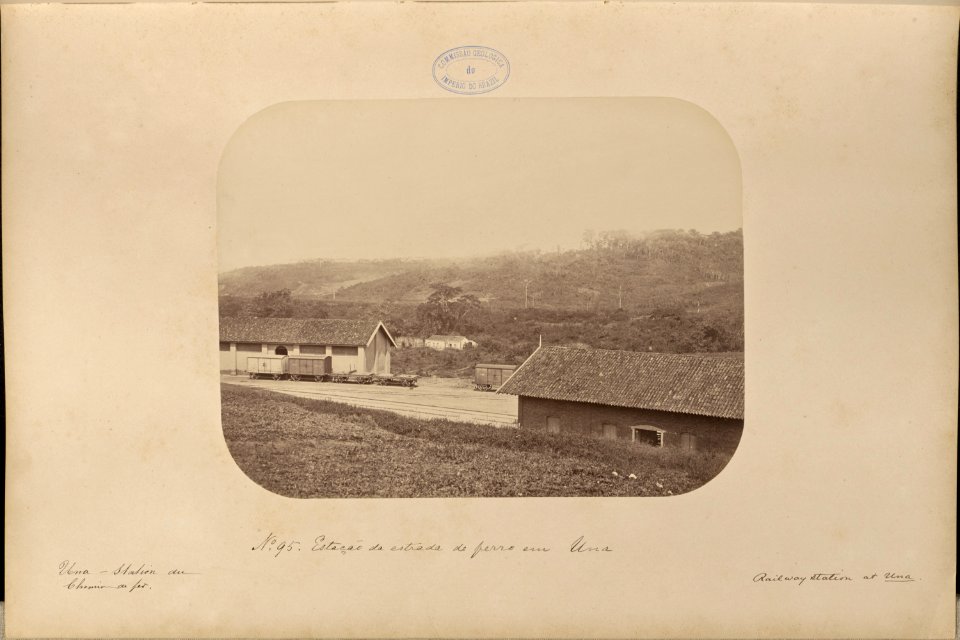 Comissao-Geologica-do-Imperio-Album2-Foto095-Getty