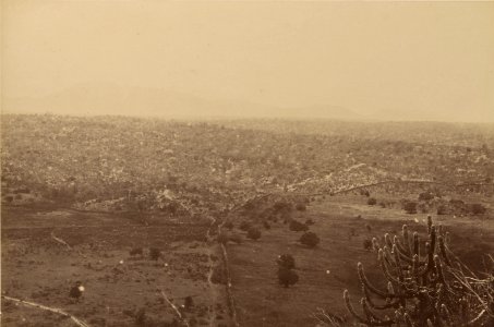 Comissao-Geologica-do-Imperio-Album2-Foto116-Getty (cropped)