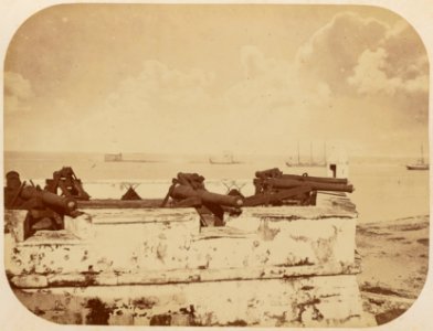 Comissao-Geologica-do-Imperio-Album1-Foto009-Getty (cropped)