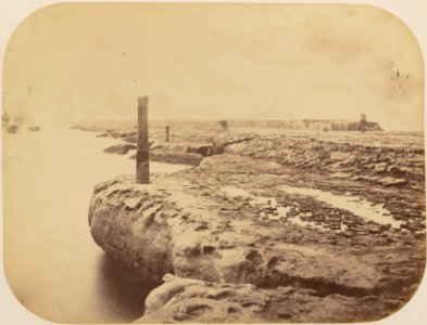 Comissao-Geologica-do-Imperio-Album1-Foto015-Getty (cropped)